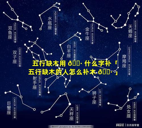五行缺木用 🕷 什么字补「五行缺木的人怎么补木 🕷 」